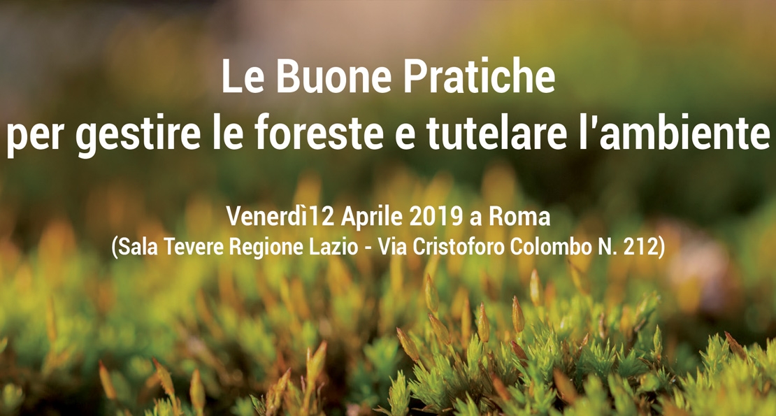 Presentazione a Roma del LIFE GoProFor: buone pratiche per una migliore gestione delle foreste.
