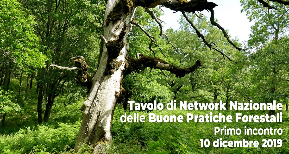 Un Network Nazionale per le BP Forestali