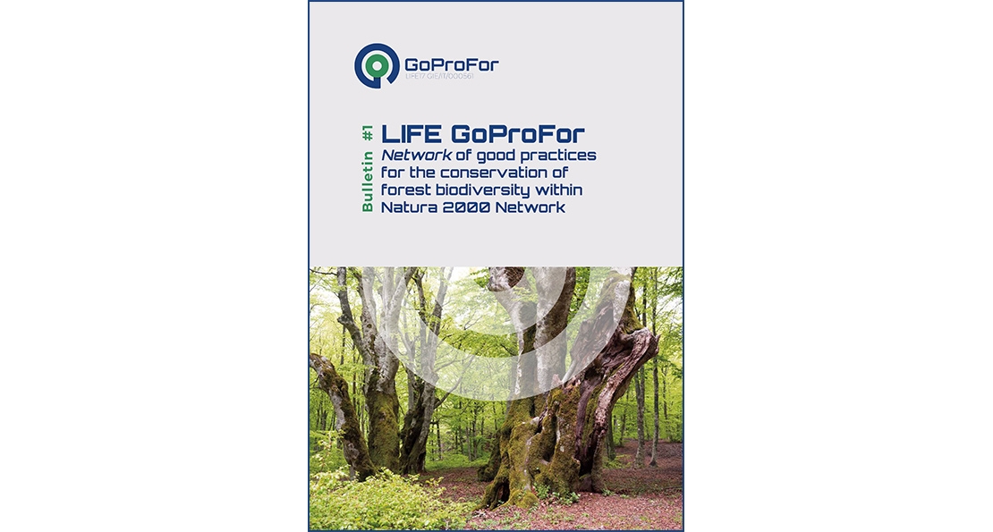 LIFE GoProFor - Bulletin 1