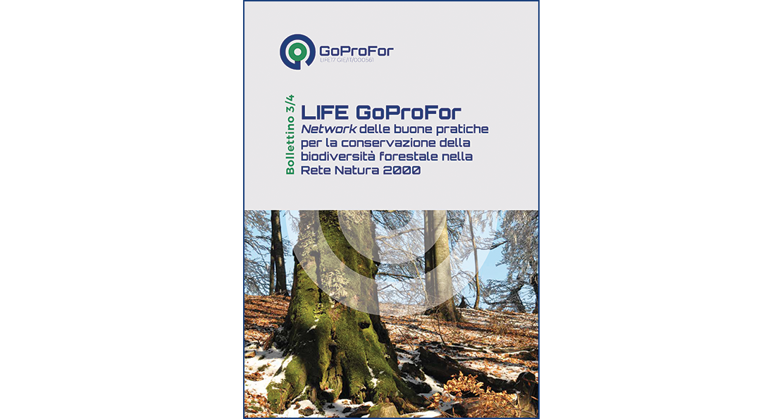 LIFE GoProFor - Bollettino 3-4