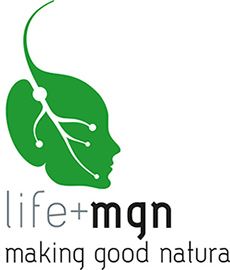 Life MGN logo