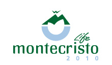 Montecristo 2010