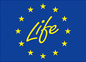 life+logo