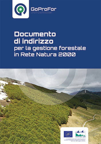 Manuale IBP Dieci fattori chiave per la diversita delle specie in foresta ITA